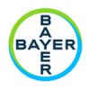 bayer