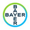 bayer